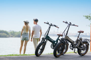 What are the different types of electric cargo bike?-A Guide You Need To Know - MIHOGO EU